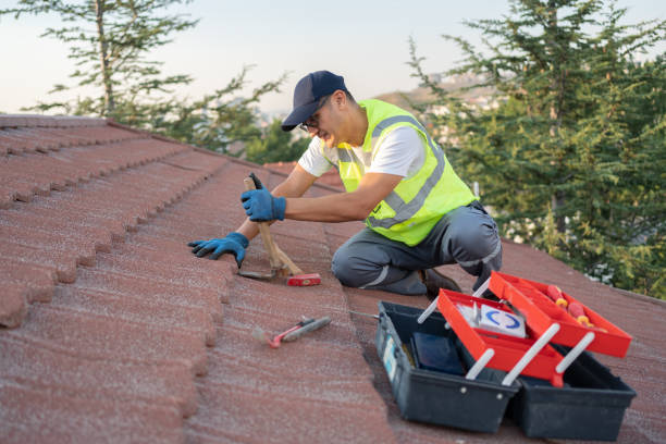 Best Metal Roofing Contractor  in Big Sandy, TX